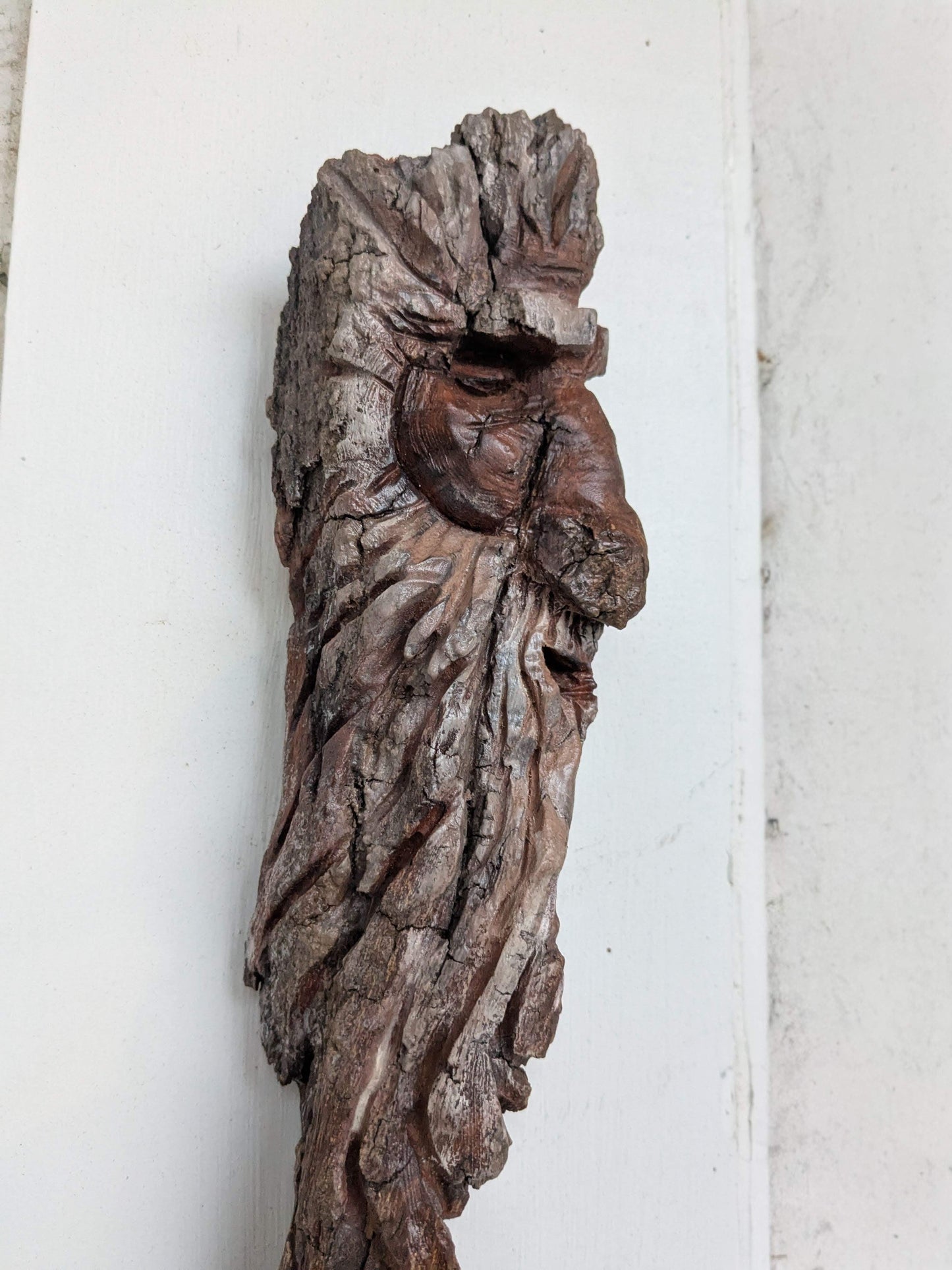 Hand Carved Tree Spirit in Natural Bark - "Saltus"
