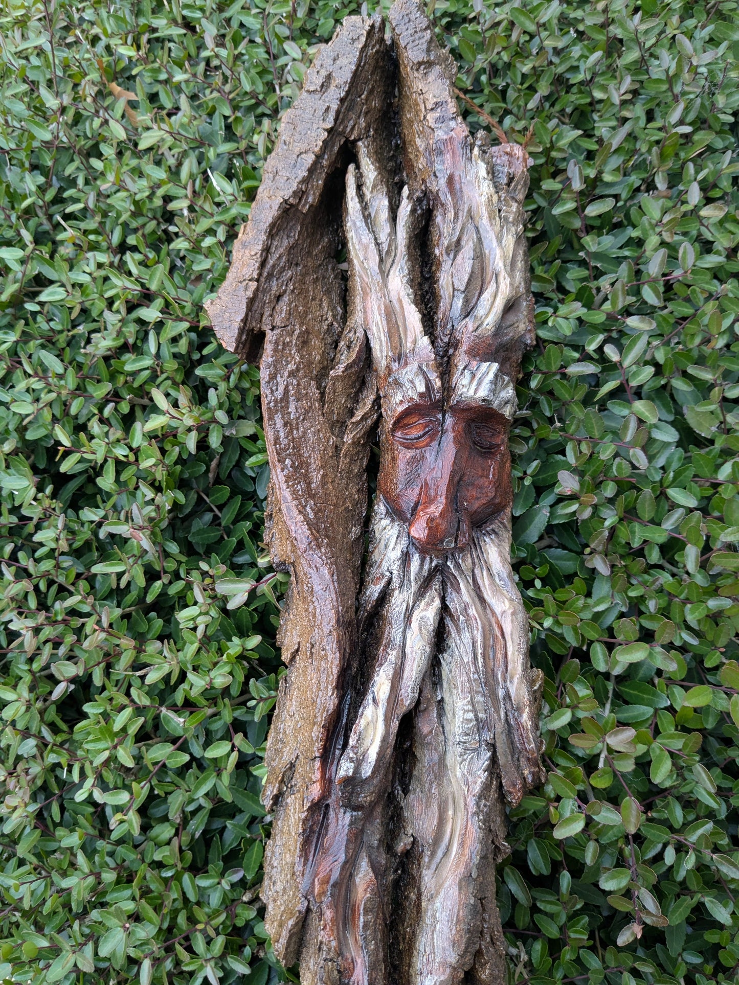 Hand Carved Tree Spirit in Natural Bark - "Ash"