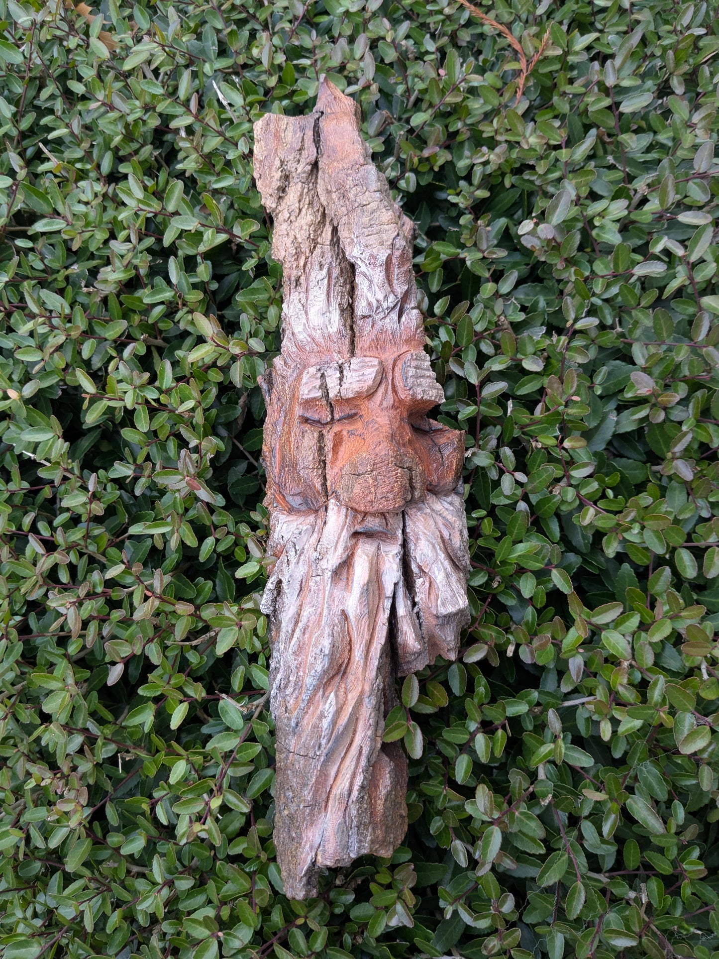 Hand Carved Tree Spirit in Natural Bark - "Elder"