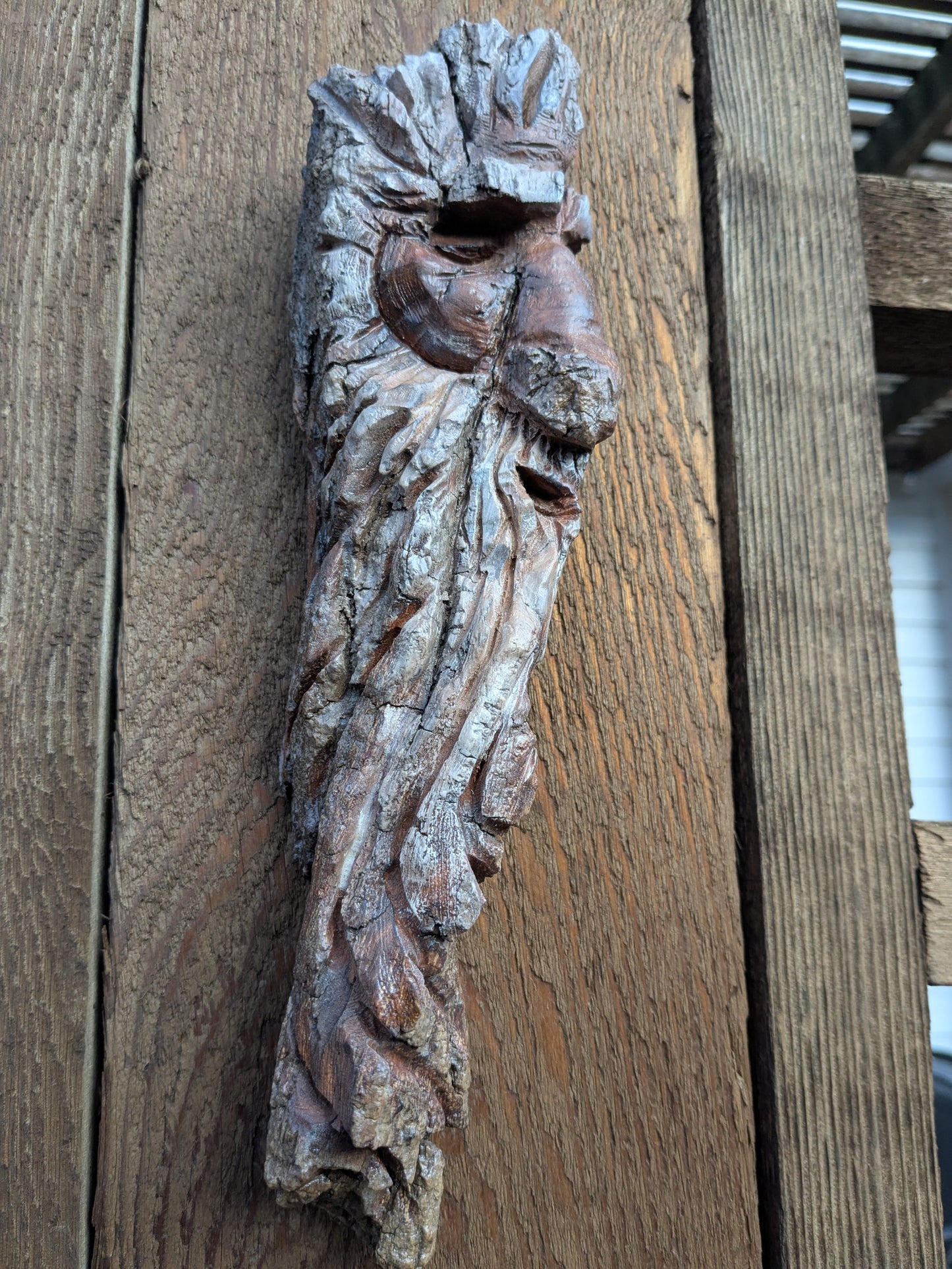 Hand Carved Tree Spirit in Natural Bark - "Saltus"