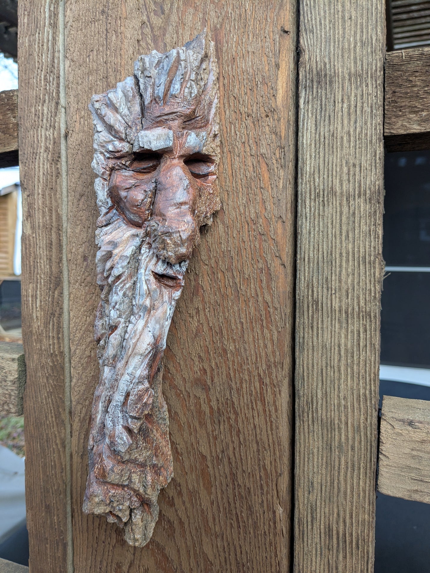 Hand Carved Tree Spirit in Natural Bark - "Saltus"