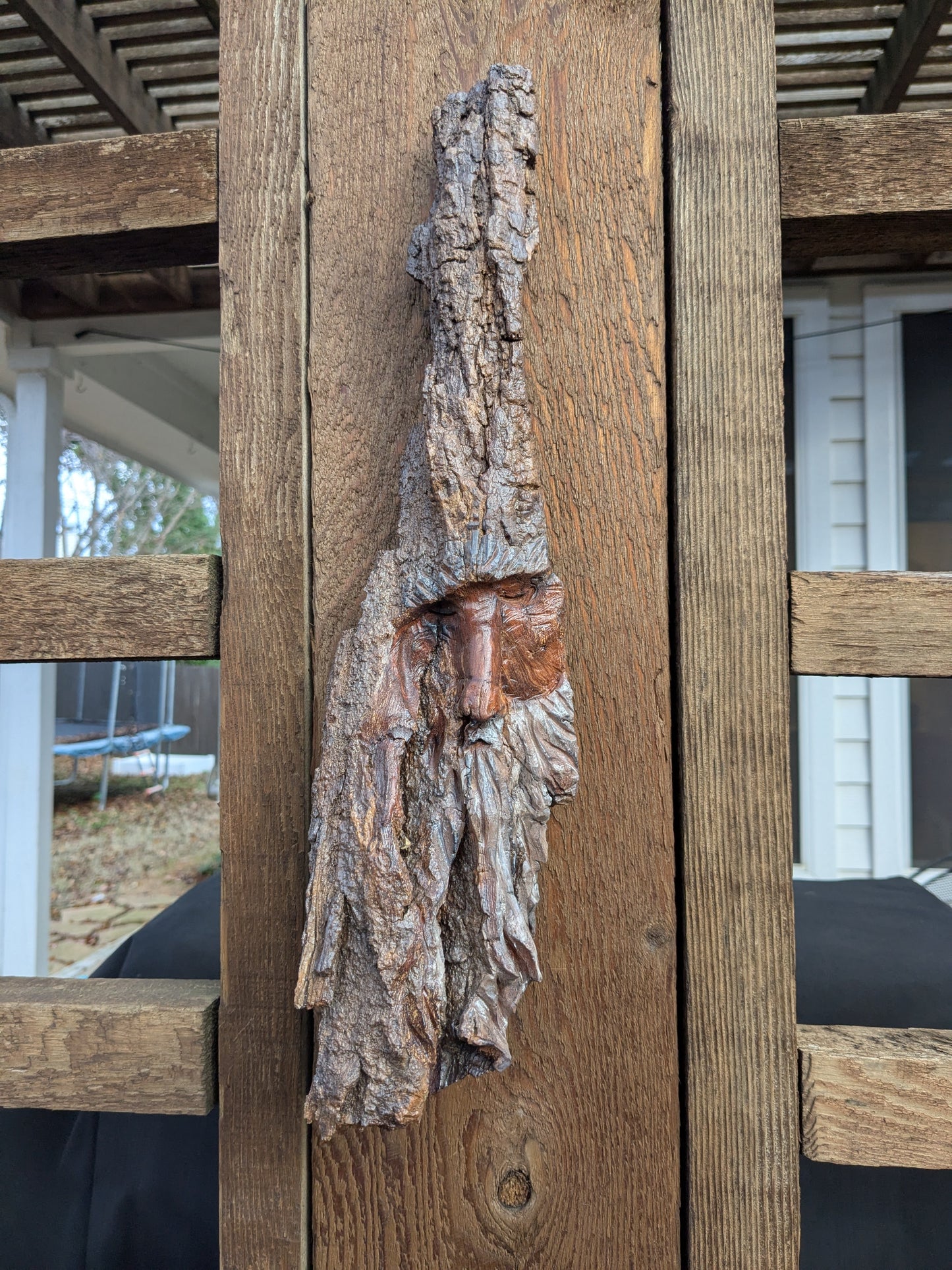 Hand Carved Tree Spirit in Natural Bark - "The Wizard"
