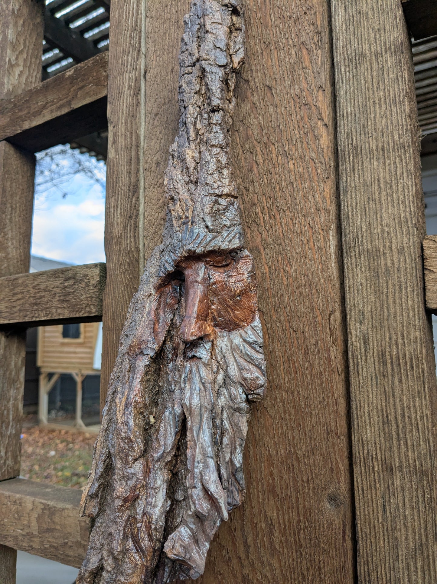 Hand Carved Tree Spirit in Natural Bark - "The Wizard"