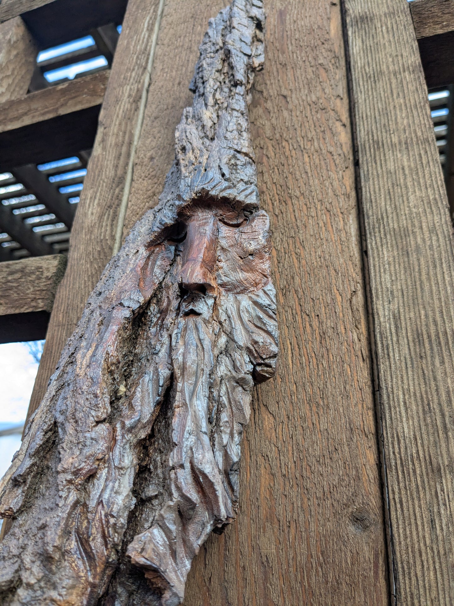 Hand Carved Tree Spirit in Natural Bark - "The Wizard"