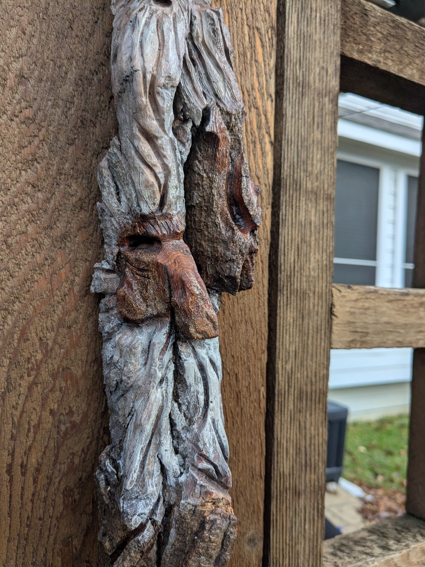 Hand Carved Tree Spirit in Natural Bark - "The Brothers"