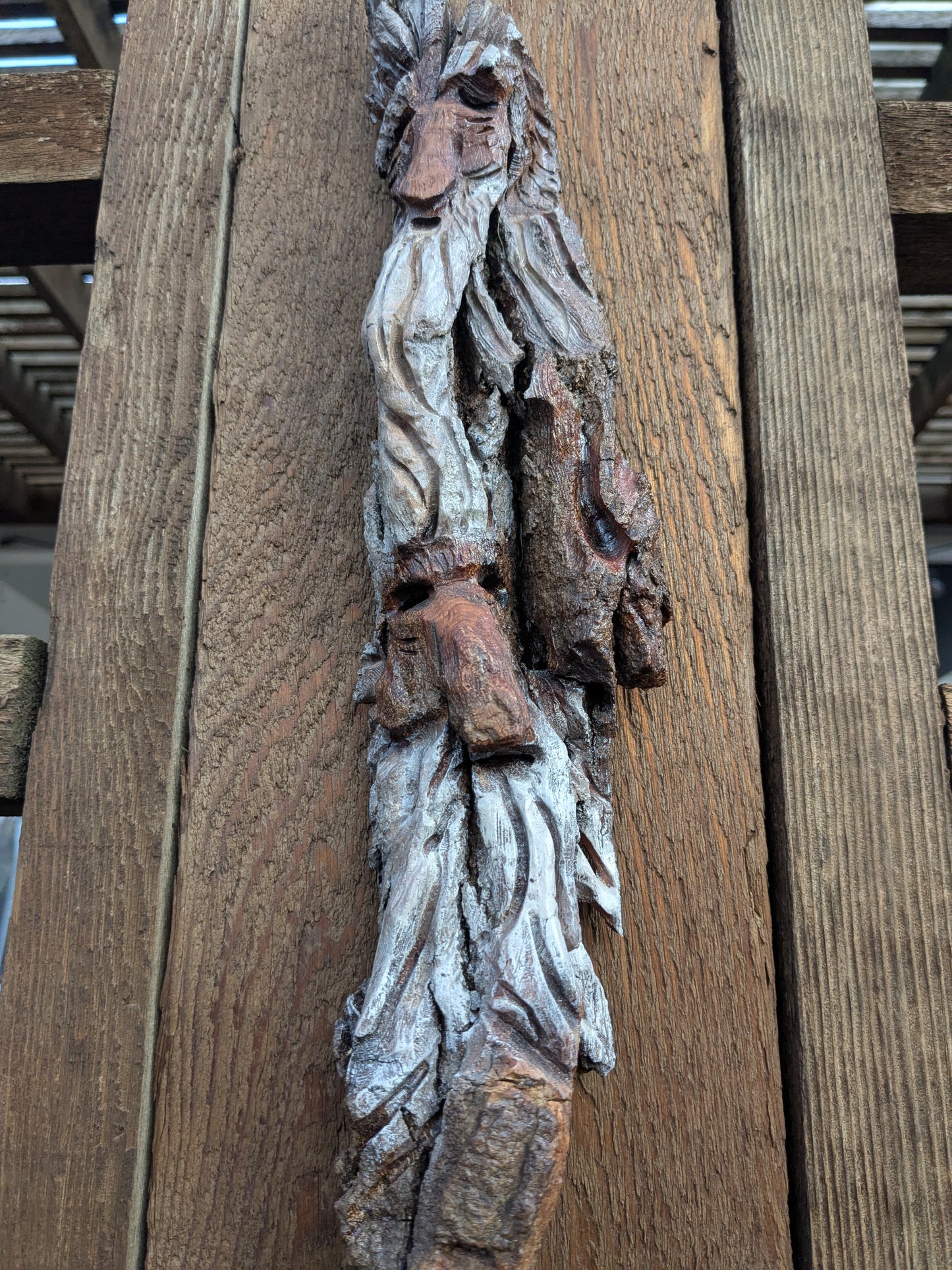 Hand Carved Tree Spirit in Natural Bark - "The Brothers"