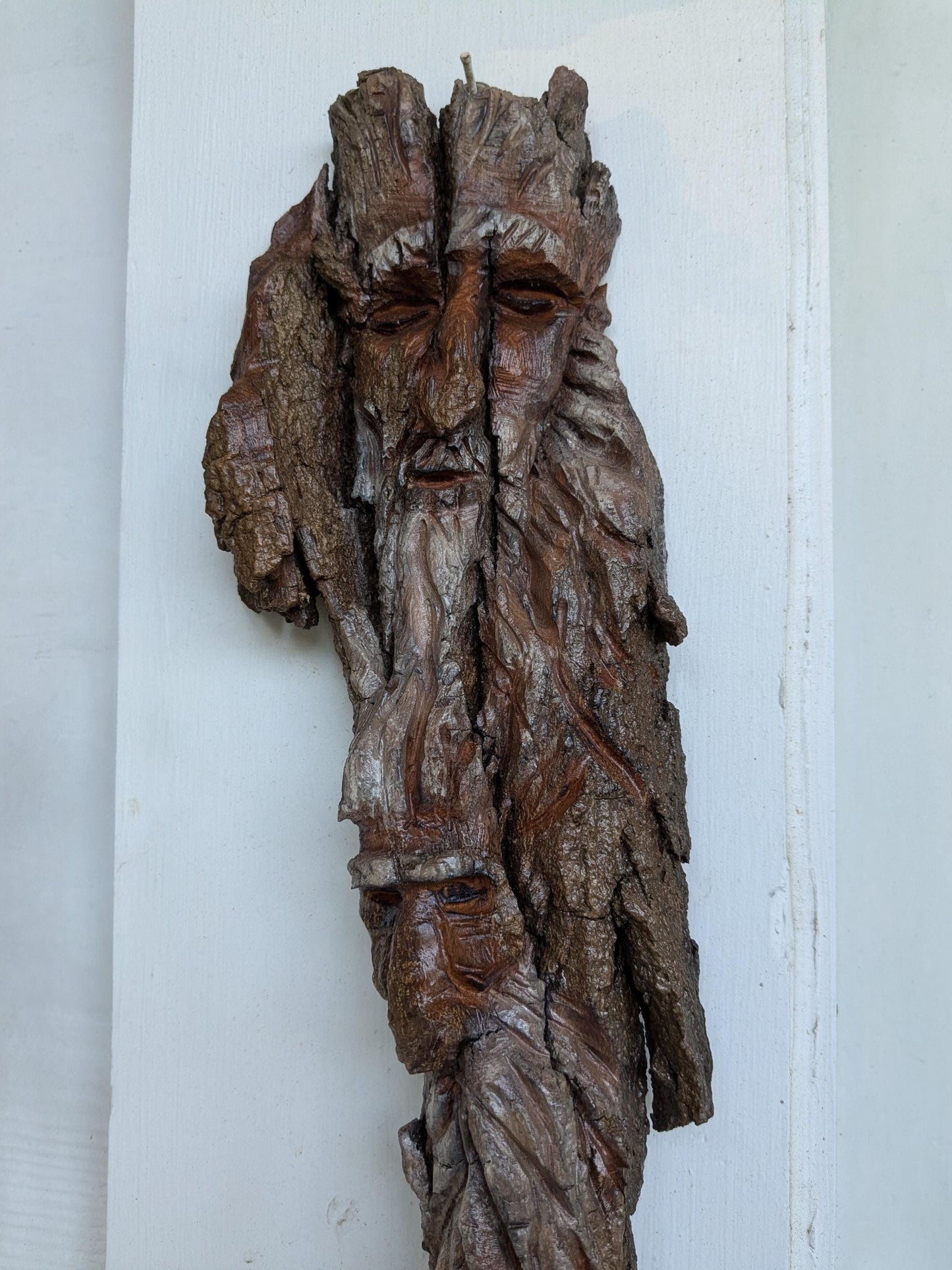 Hand Carved Tree Spirit Faces in Natural Bark for Wall Art