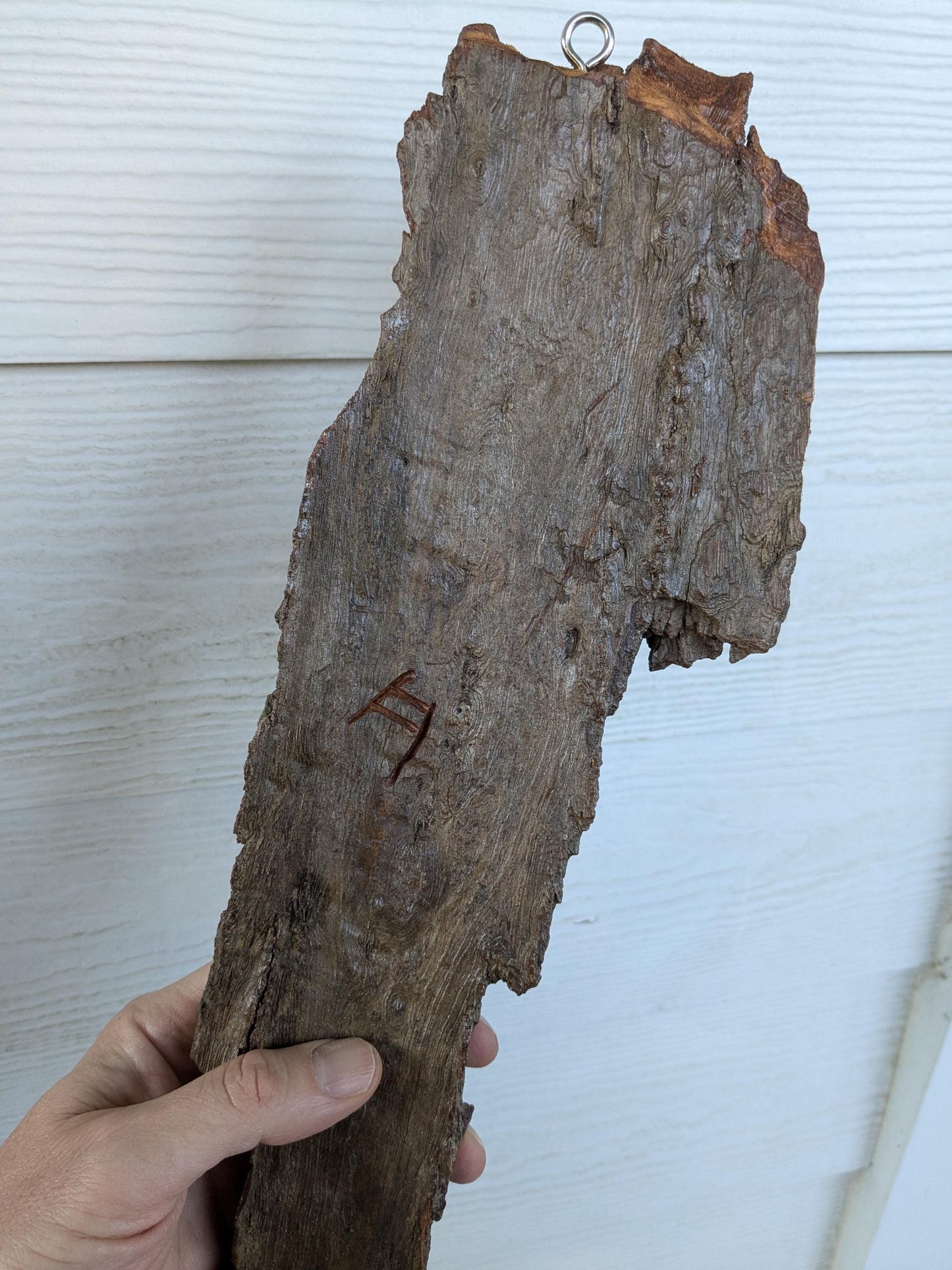 Hand Carved Tree Spirit Faces in Natural Bark for Wall Art