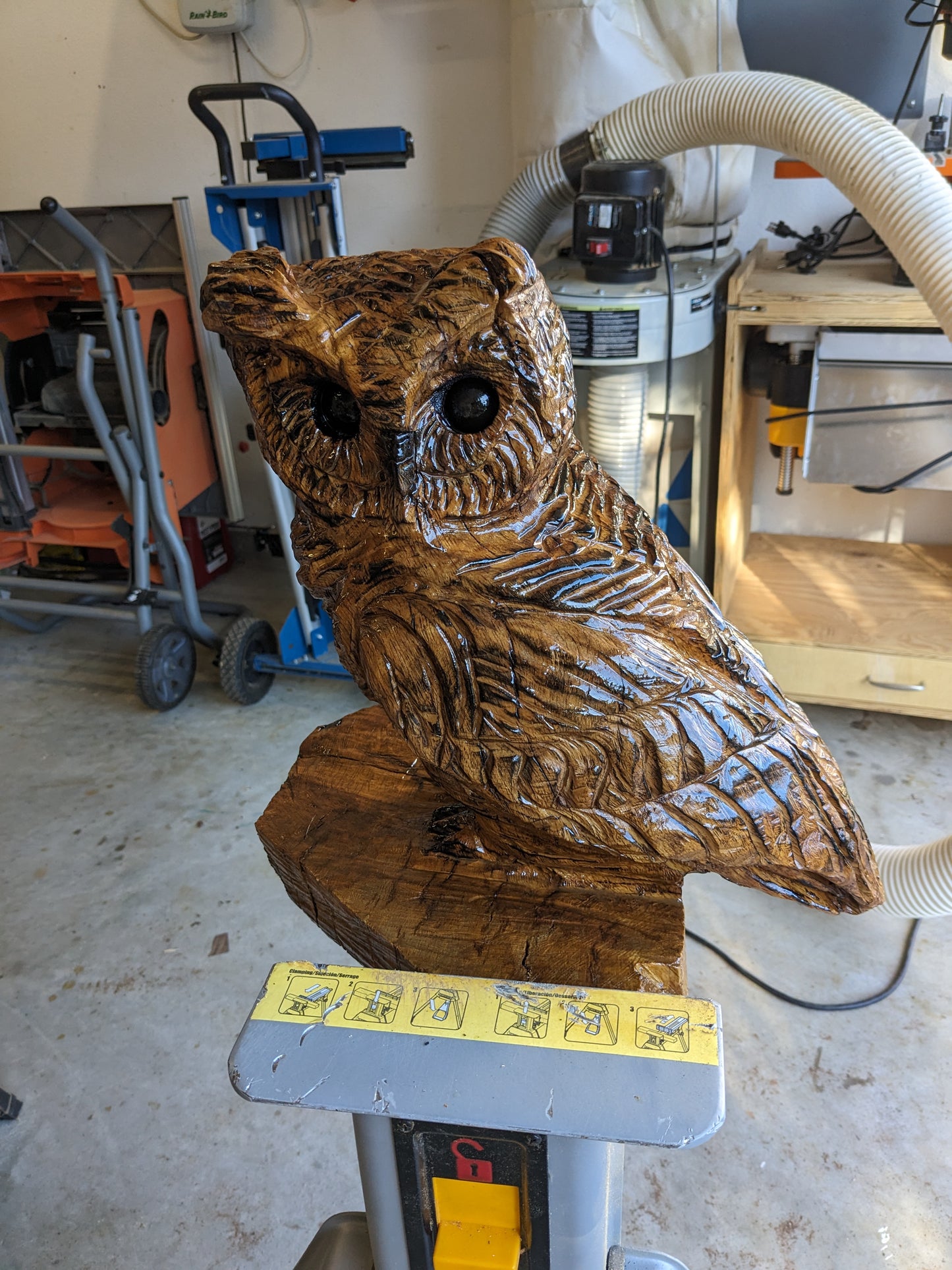 Post Oak Owl Carving