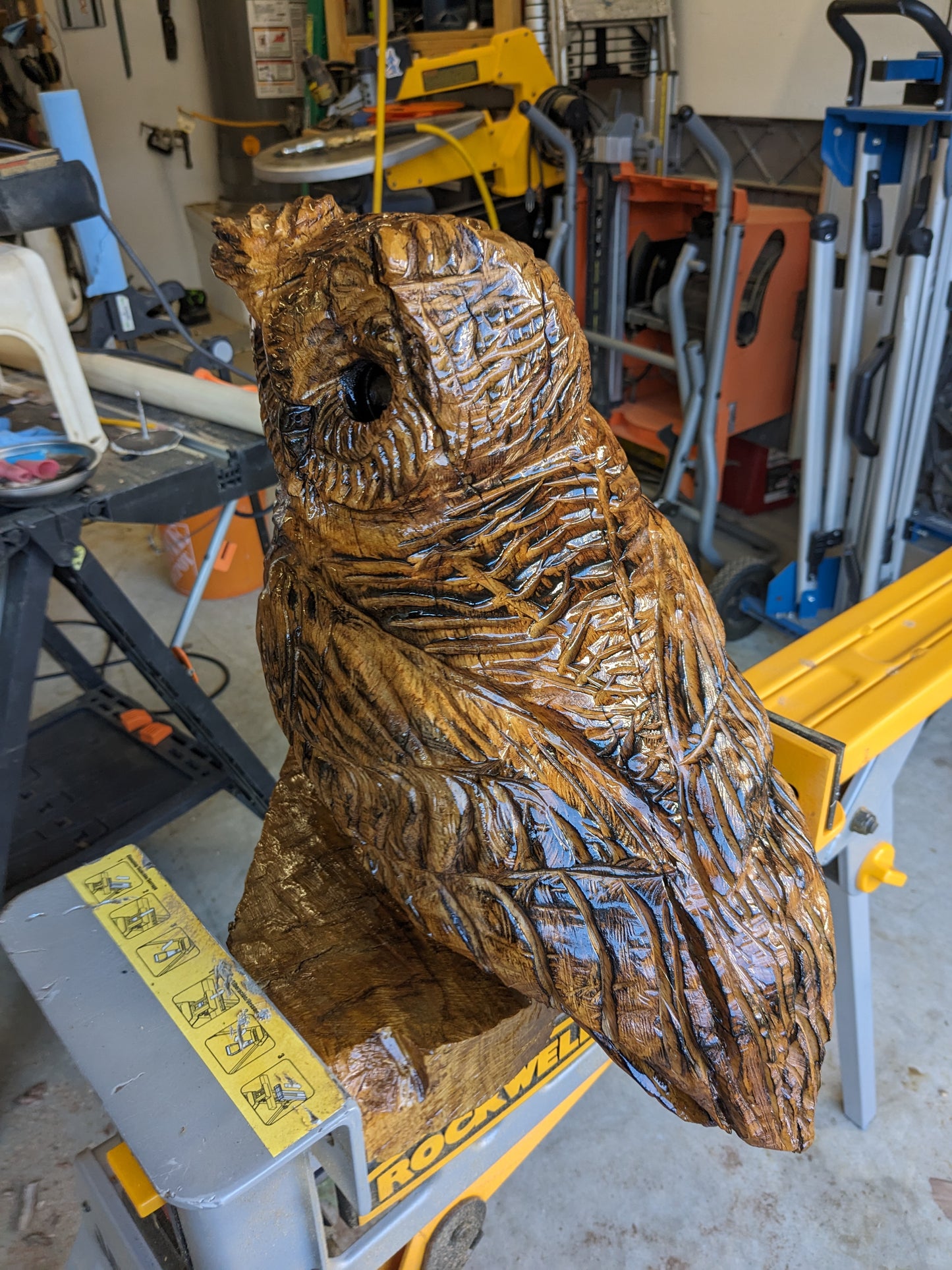 Post Oak Owl Carving