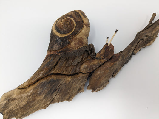 Wall Art - Carved Driftwood Snail