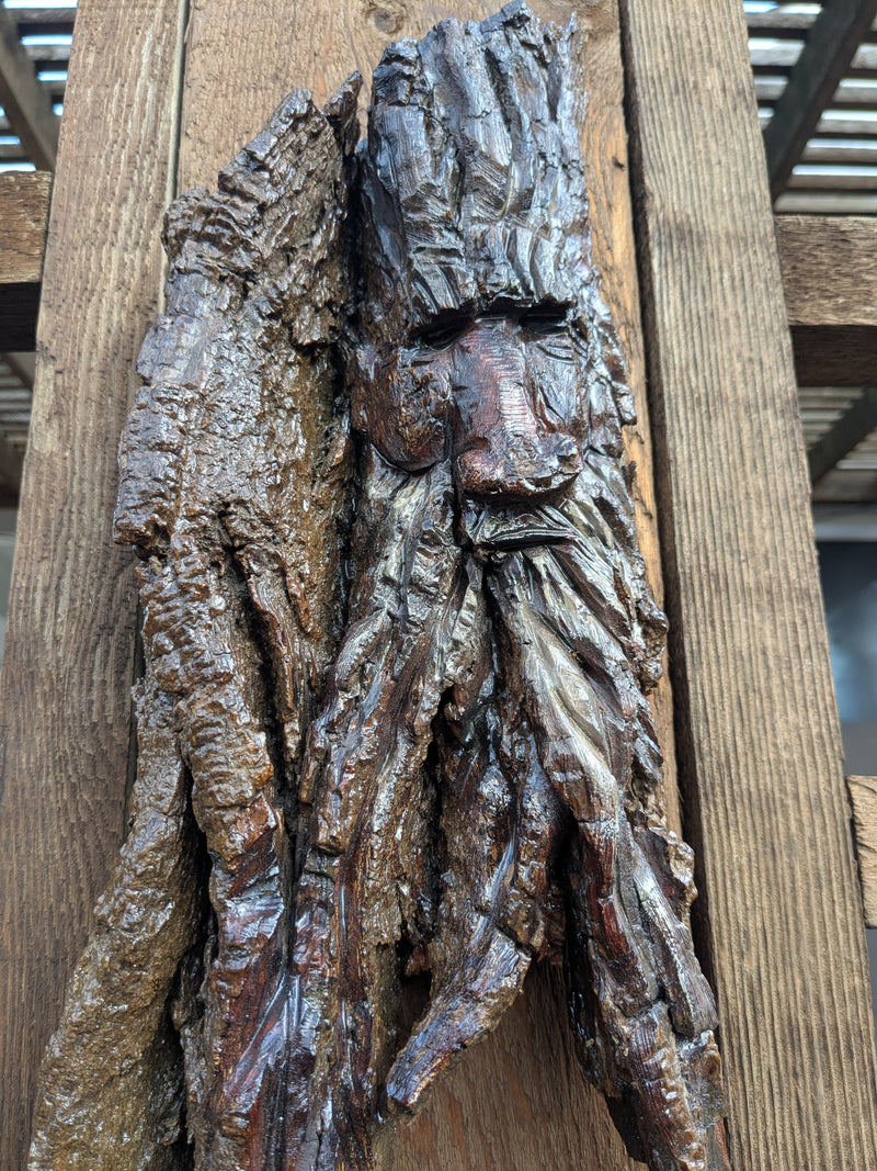 Hand Carved Tree Spirit in Natural Bark - "The Guardian"