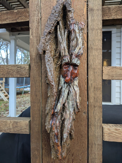 Hand Carved Tree Spirit in Natural Bark - "Ash"