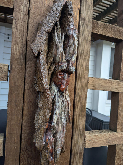 Hand Carved Tree Spirit in Natural Bark - "Ash"