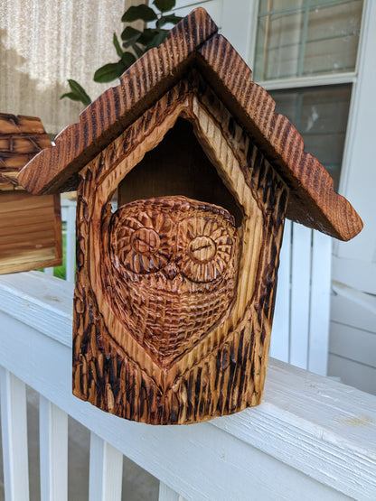 Folk Art Birdhouses and Feeders with Baby Owls - Hand Carved Cedar