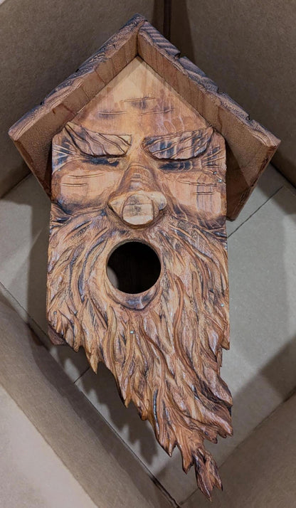 The Forest Guardian | Cedar Spirit Sanctuary
