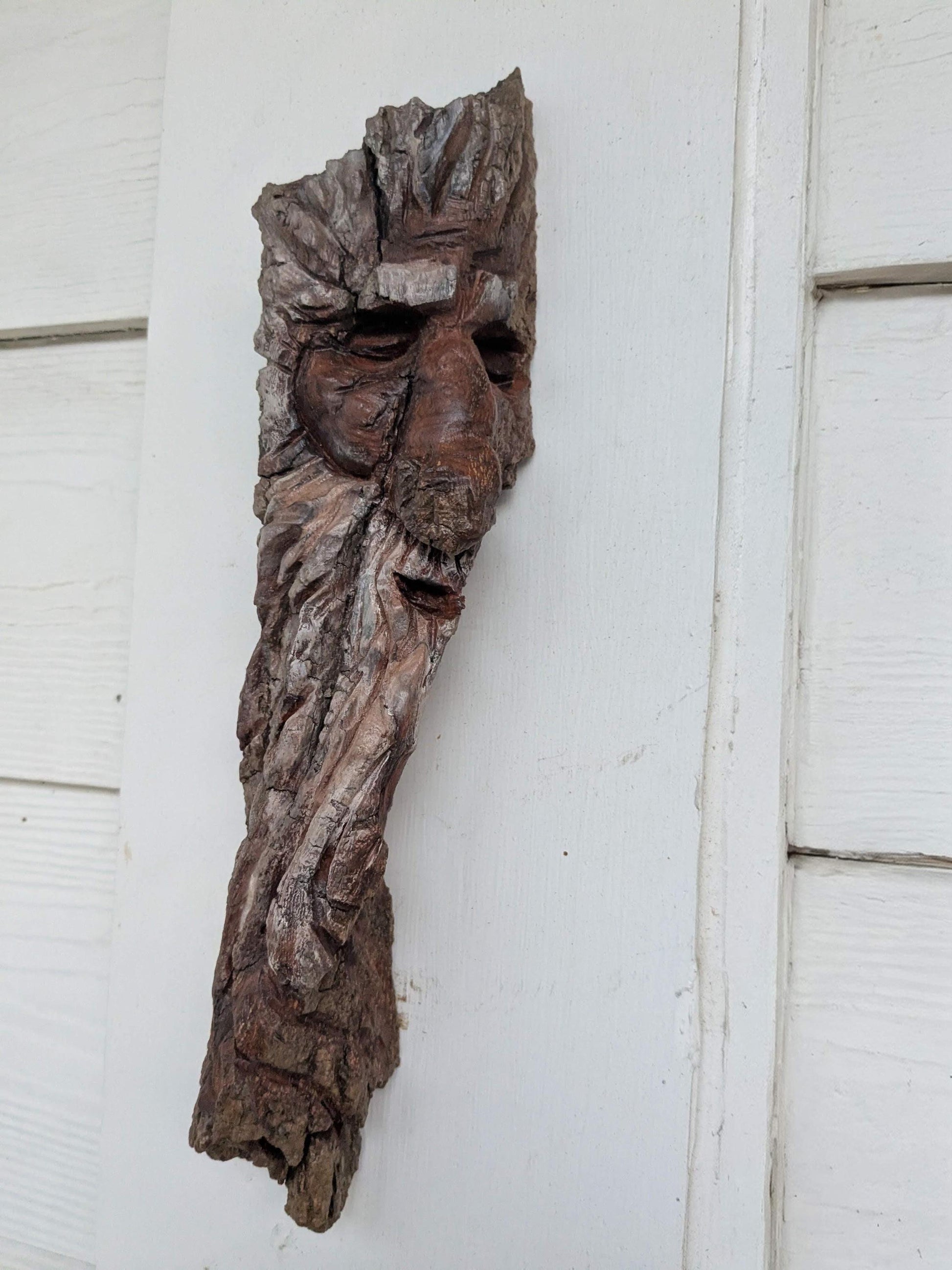 Saltus | Original Folklore Study