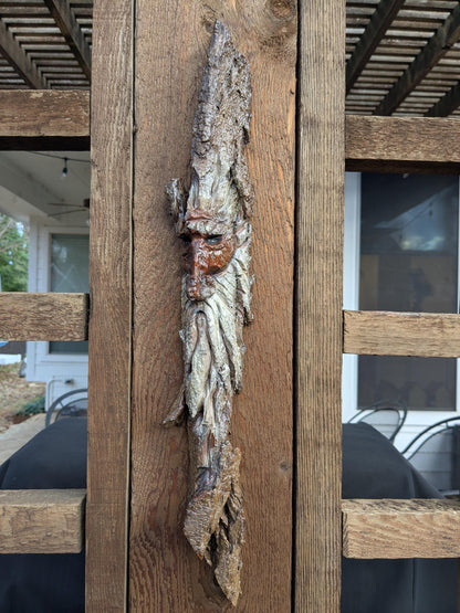 Hand Carved Tree Spirit in Natural Bark - "Winnow"