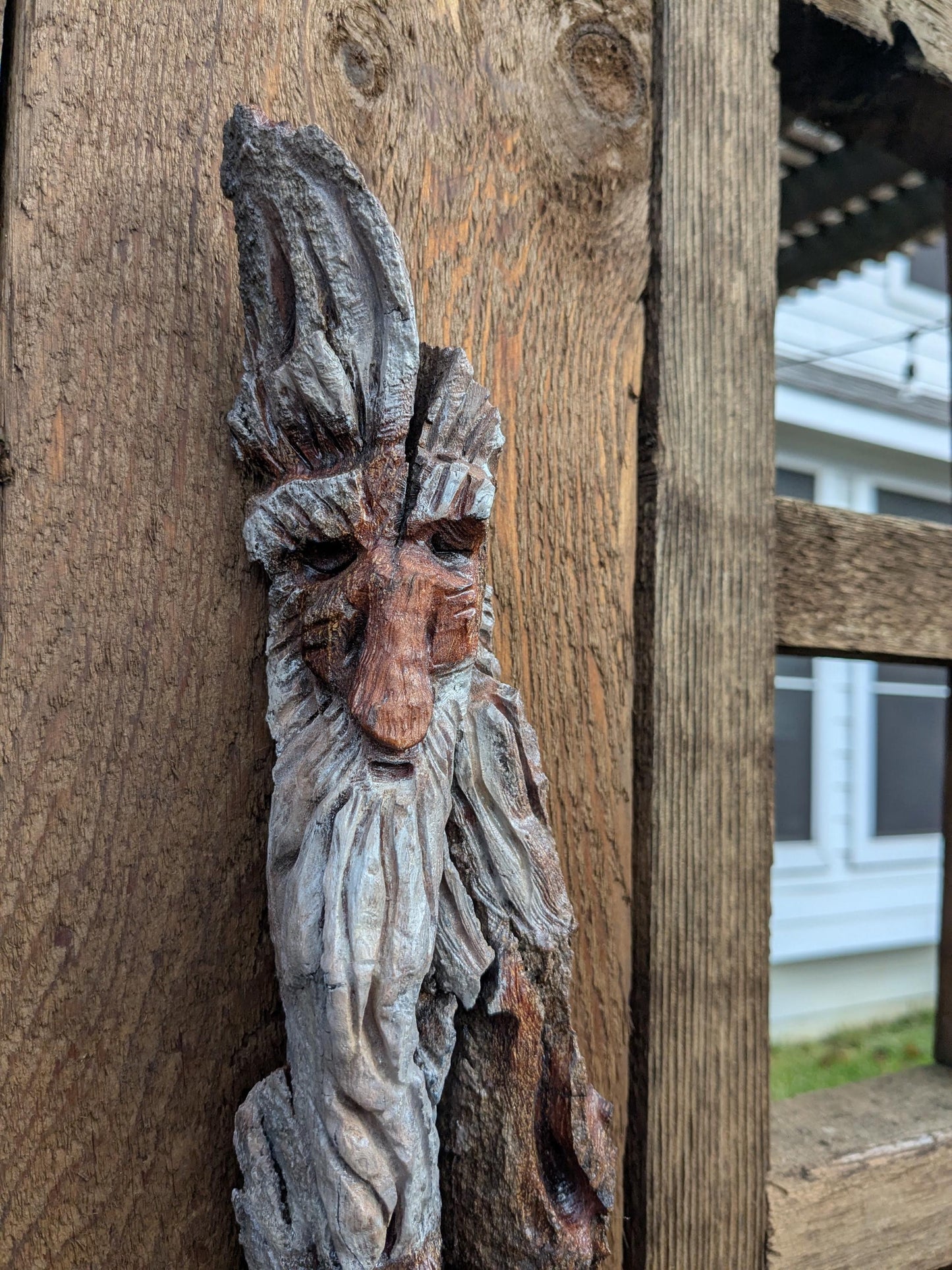 Hand Carved Tree Spirit in Natural Bark - "The Brothers"