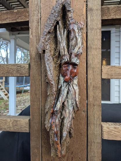 Hand Carved Tree Spirit in Natural Bark - "Ash"
