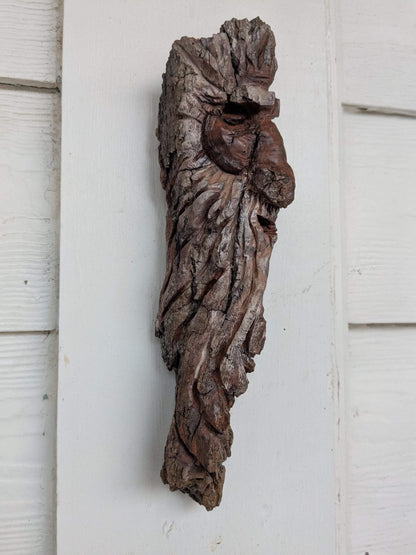 Saltus | Original Folklore Study