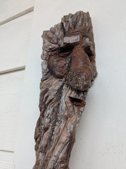 Saltus | Original Folklore Study