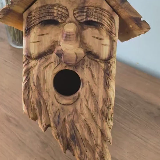 The Forest Guardian #15 | Cedar Spirit Sanctuary