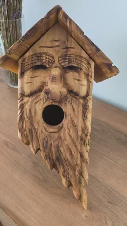 The Forest Guardian #15 | Cedar Spirit Sanctuary