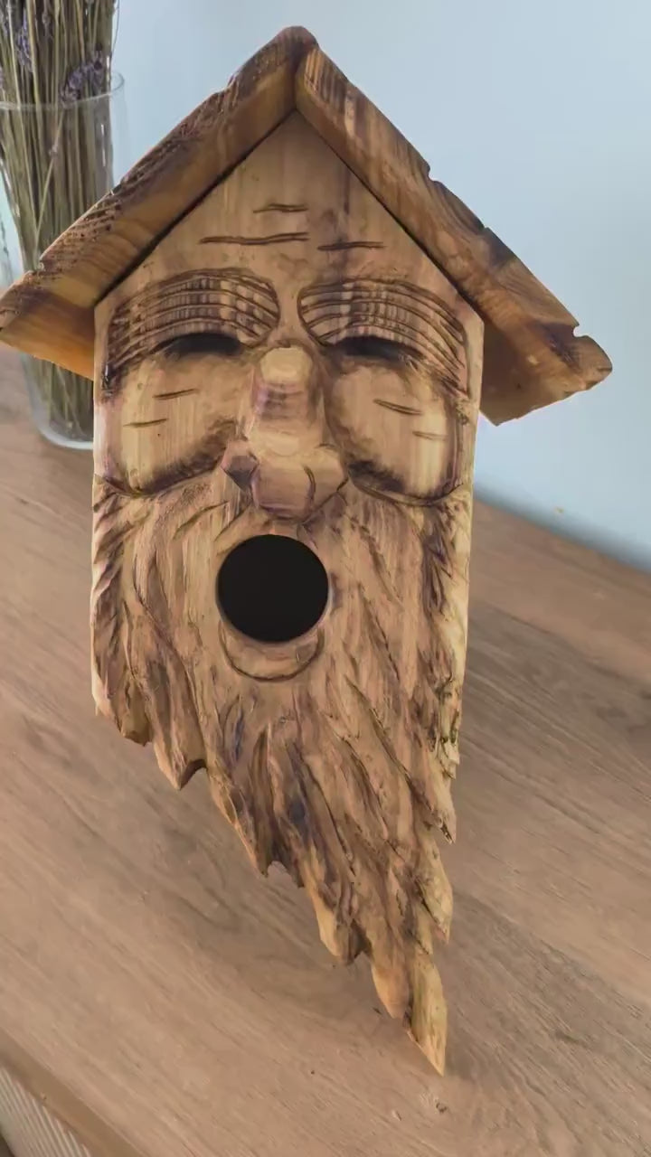 The Forest Guardian #15 | Cedar Spirit Sanctuary